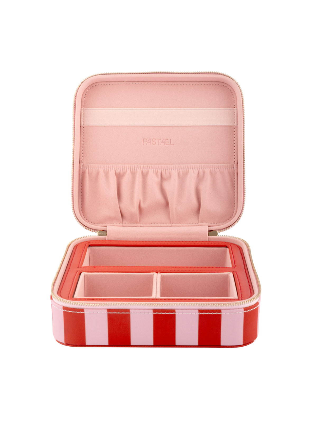 EVERYTHING CASE - Mini