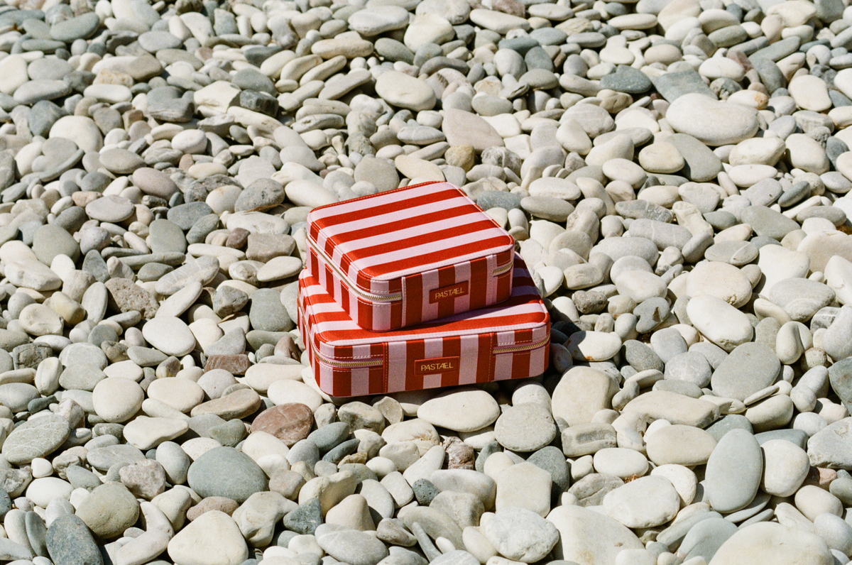 EVERYTHING CASE - Mini