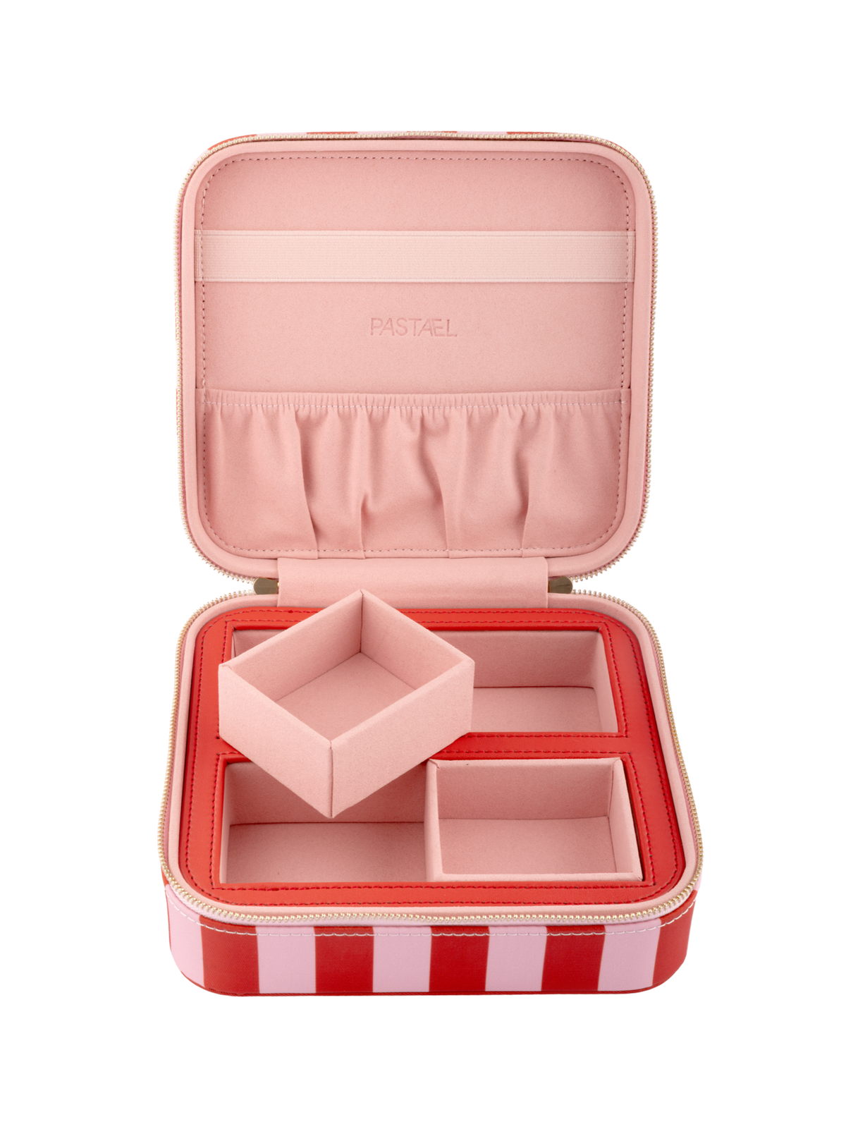 EVERYTHING CASE - Mini