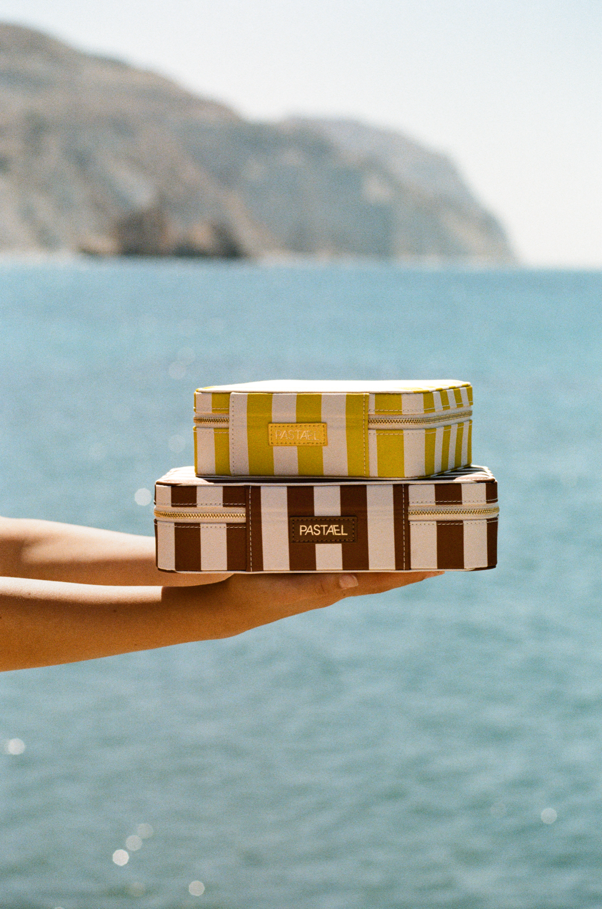 EVERYTHING CASE - Mini