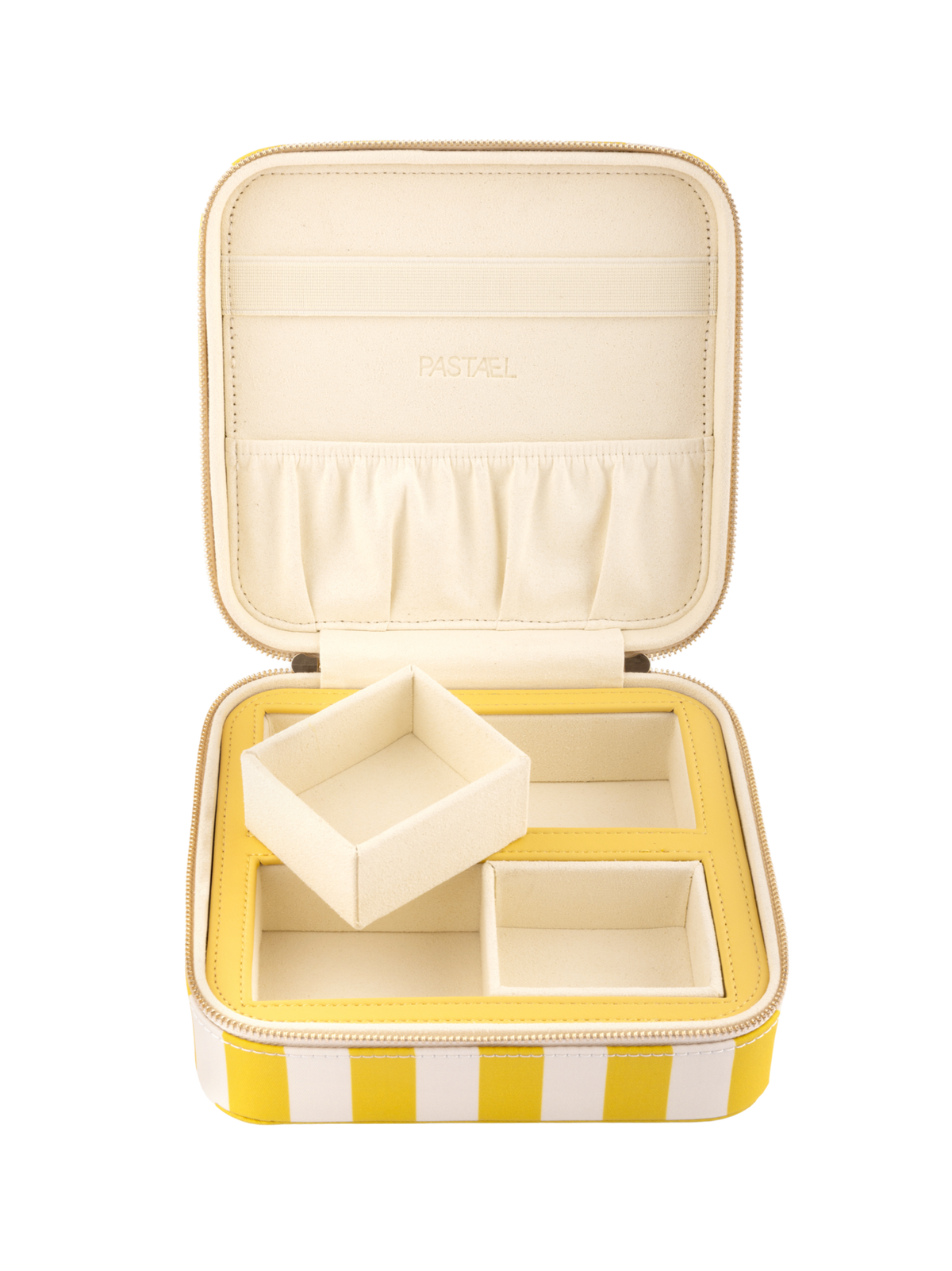 EVERYTHING CASE - Mini