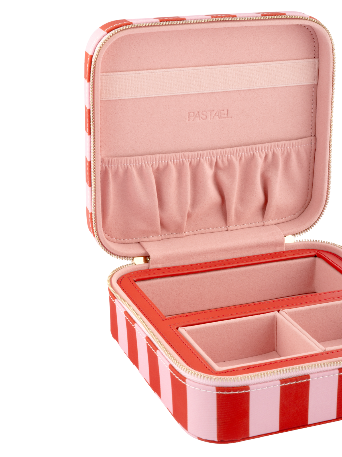 EVERYTHING CASE - Mini