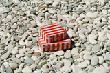 EVERYTHING CASE - Mini