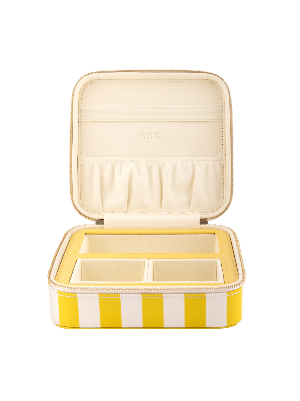 EVERYTHING CASE - Mini