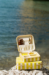 EVERYTHING CASE - Mini