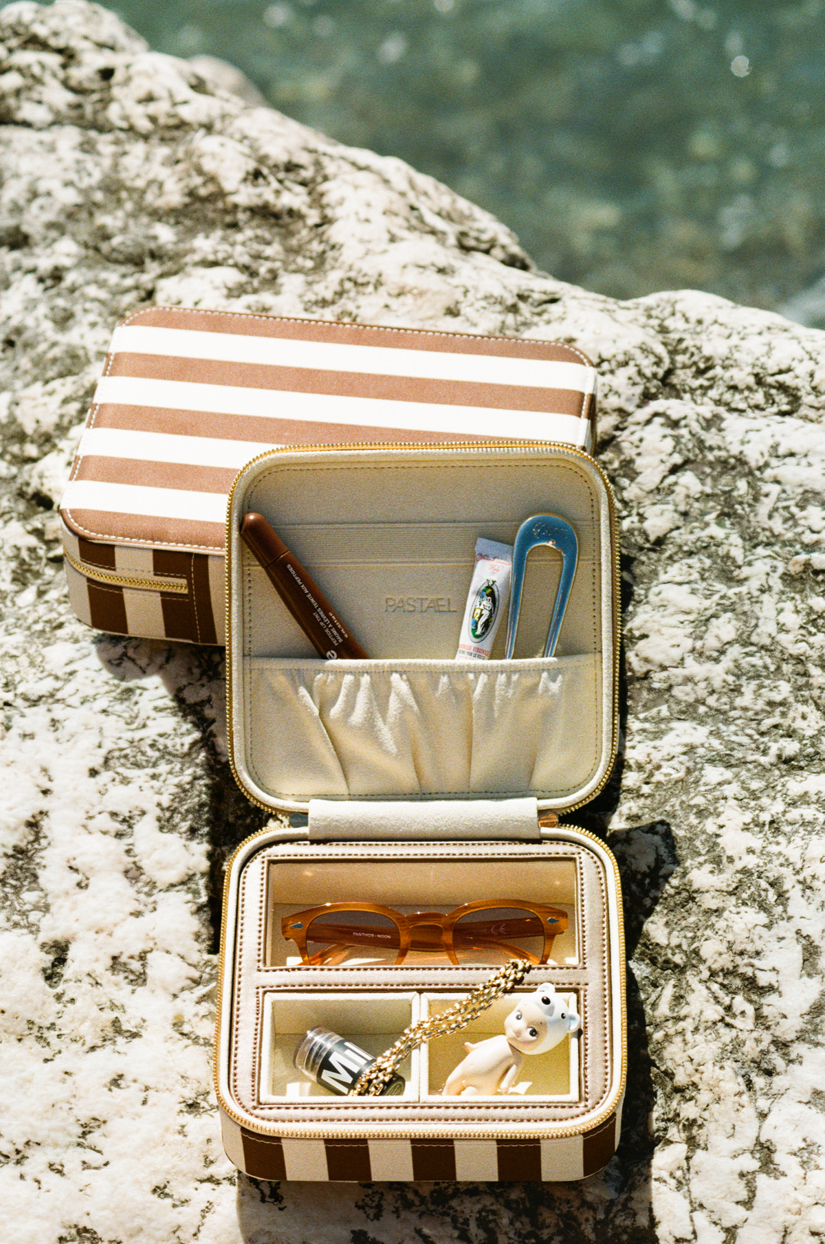 EVERYTHING CASE - Mini