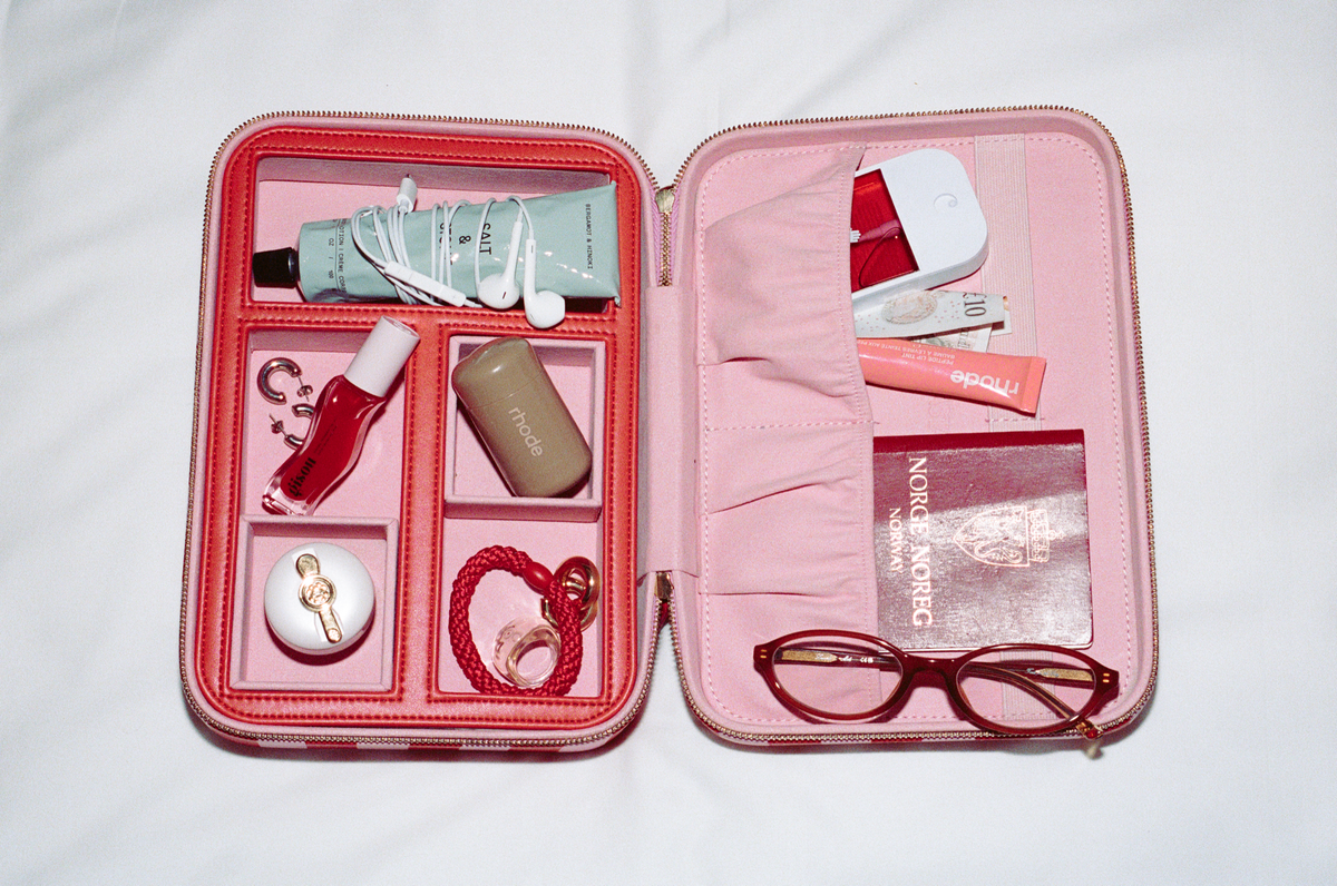 EVERYTHING CASE - Regular